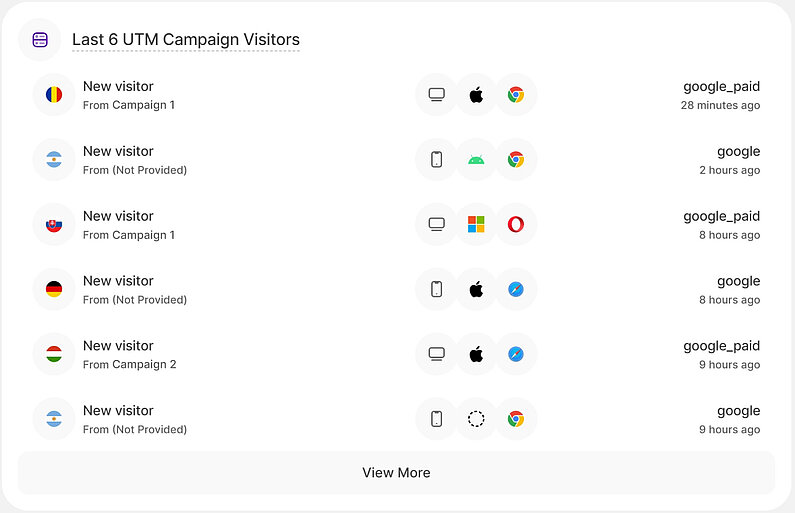 Overview of Latest Campaign Visitors Overview of Latest Campaign Visitors